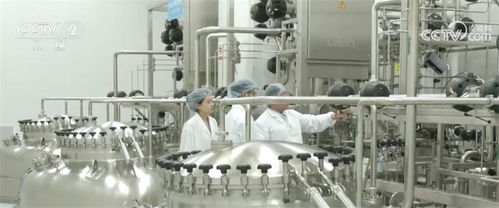 春招季亮點頻現 數字技術智慧服務加速融入新興行業，“掐尖”趨勢凸顯